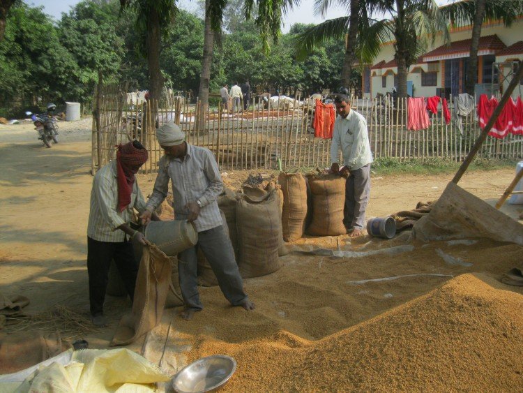 There was a time when rice was Nepal’s major export item