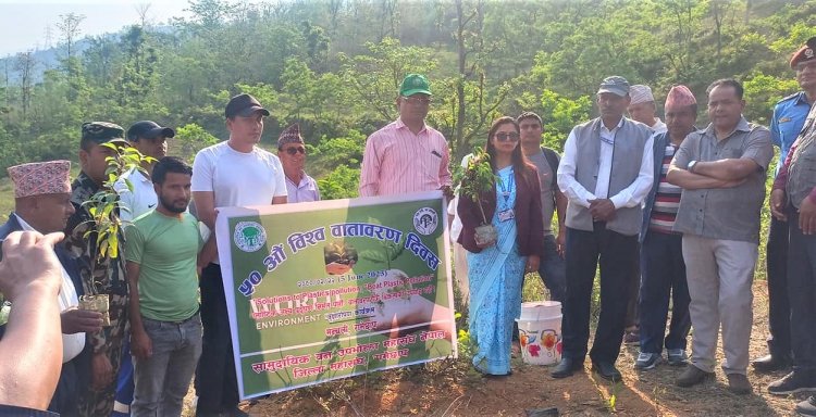 विश्व वातावरण दिवसको अवसरमा टेकानपुरको जंगलमा वृक्षारोपण